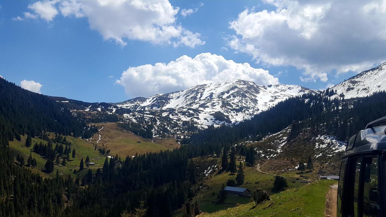 Cabana Rustic Borşa Dış mekan fotoğraf