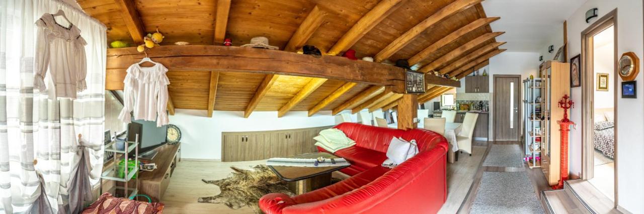 Cabana Rustic Borşa Dış mekan fotoğraf