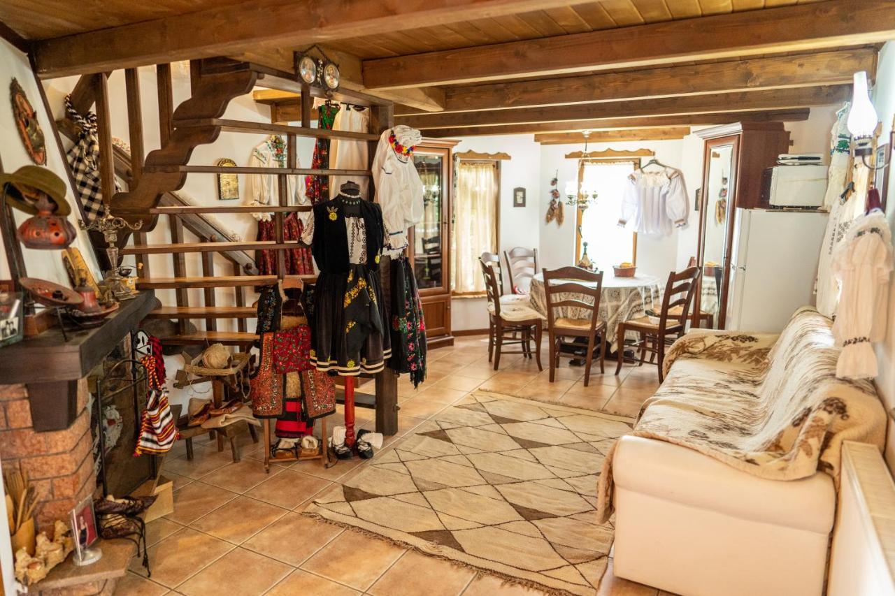 Cabana Rustic Borşa Dış mekan fotoğraf