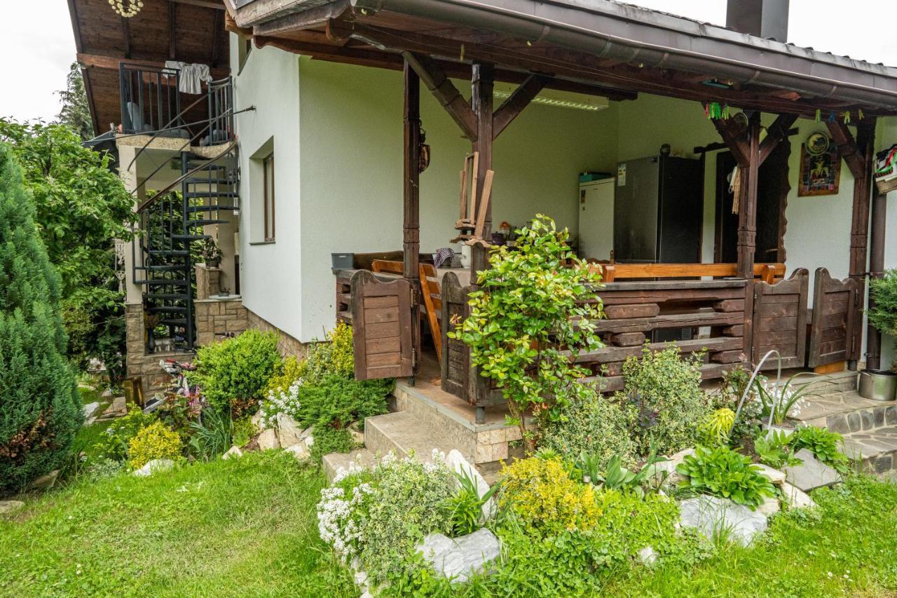 Cabana Rustic Borşa Dış mekan fotoğraf