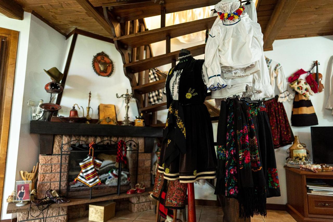 Cabana Rustic Borşa Dış mekan fotoğraf
