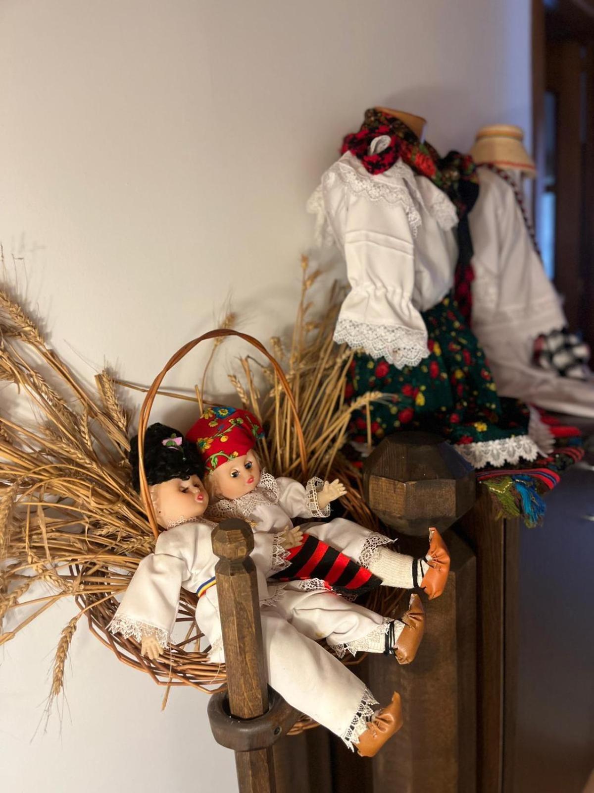 Cabana Rustic Borşa Oda fotoğraf