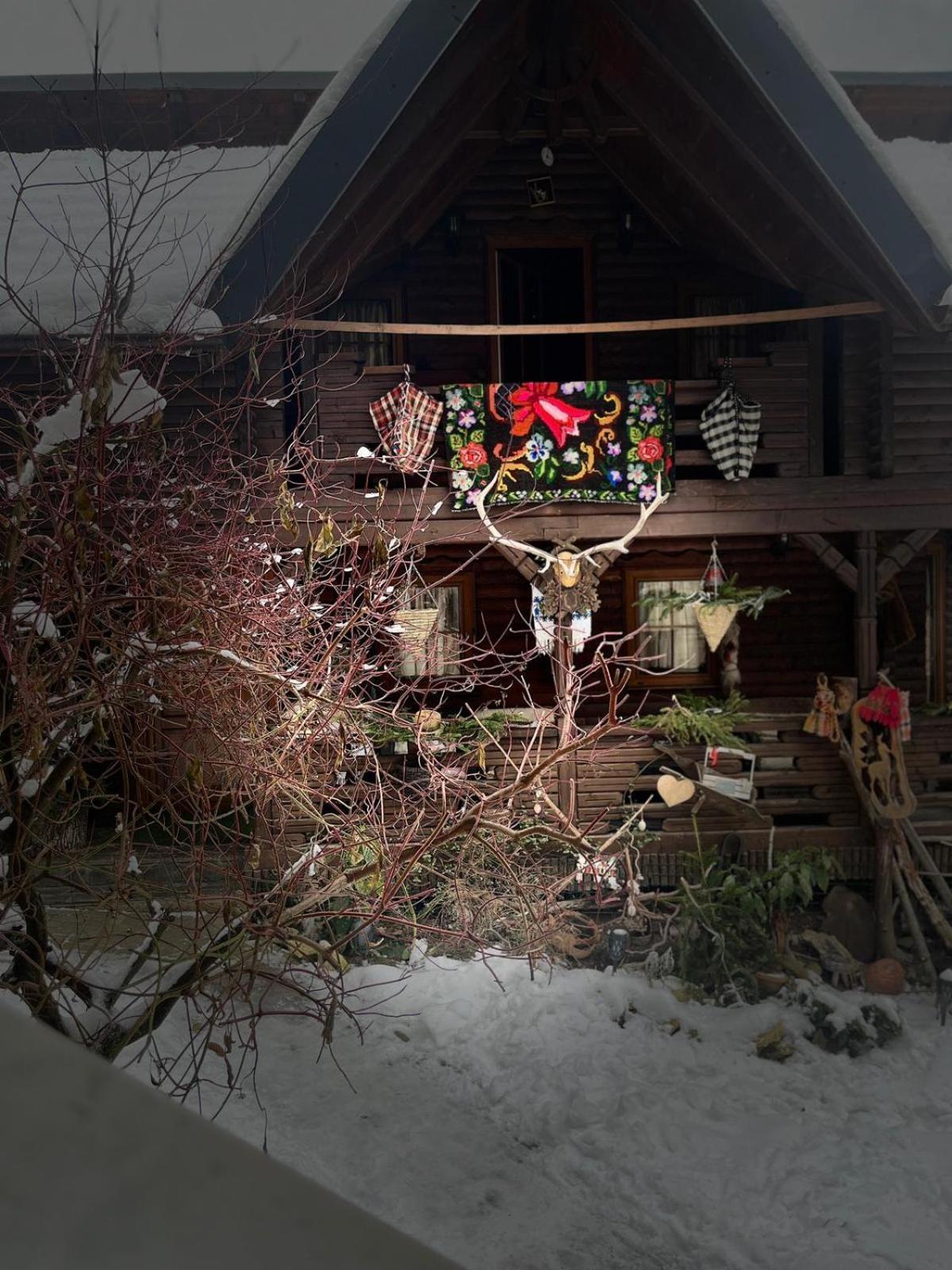Cabana Rustic Borşa Oda fotoğraf