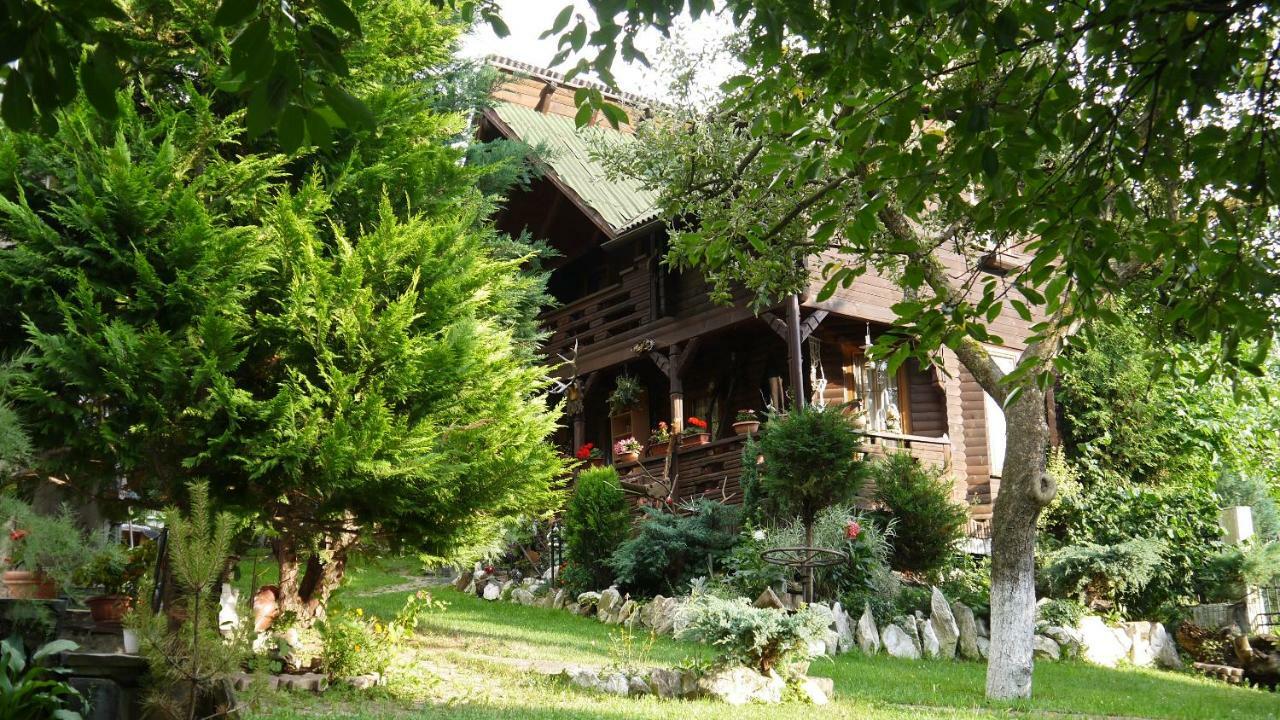 Cabana Rustic Borşa Dış mekan fotoğraf
