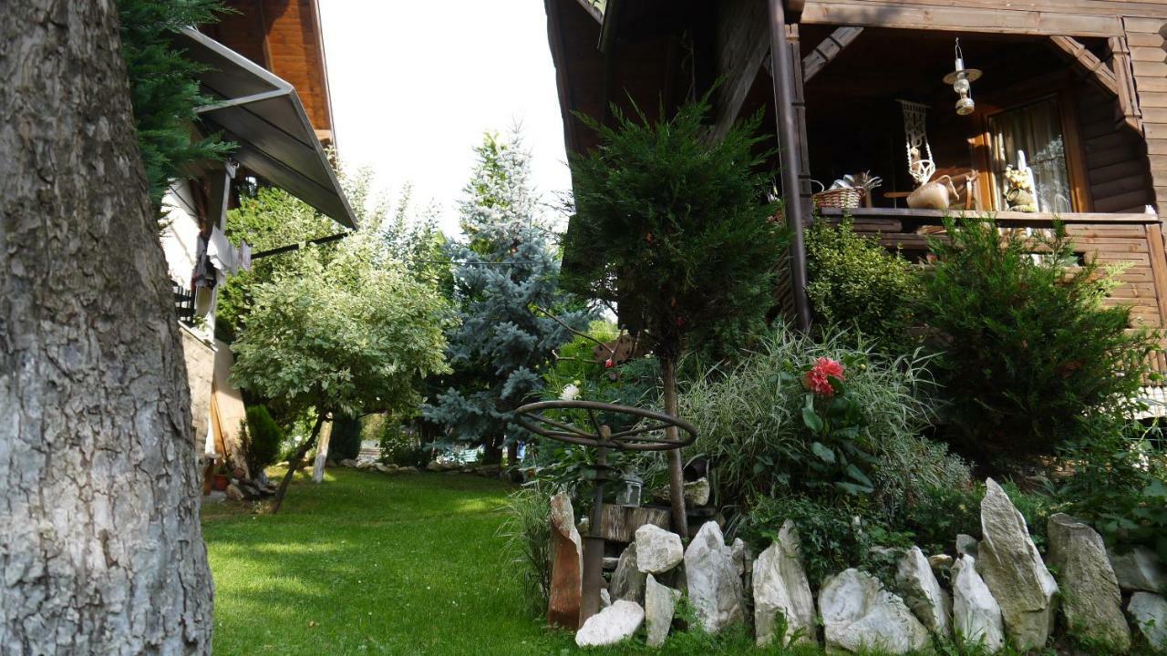 Cabana Rustic Borşa Dış mekan fotoğraf