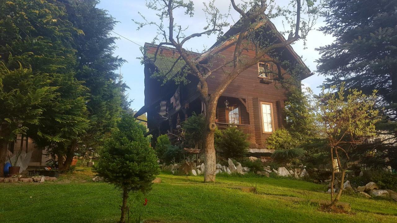 Cabana Rustic Borşa Dış mekan fotoğraf