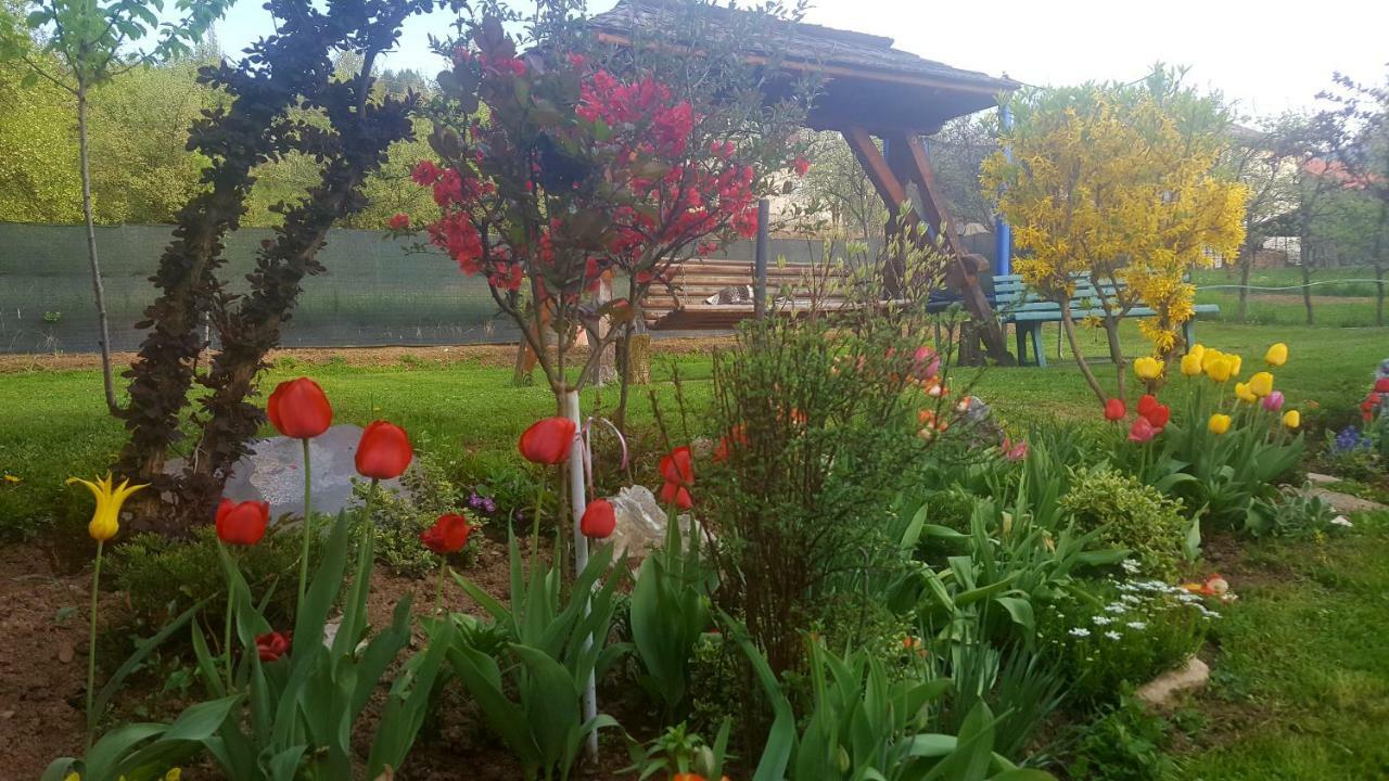 Cabana Rustic Borşa Dış mekan fotoğraf