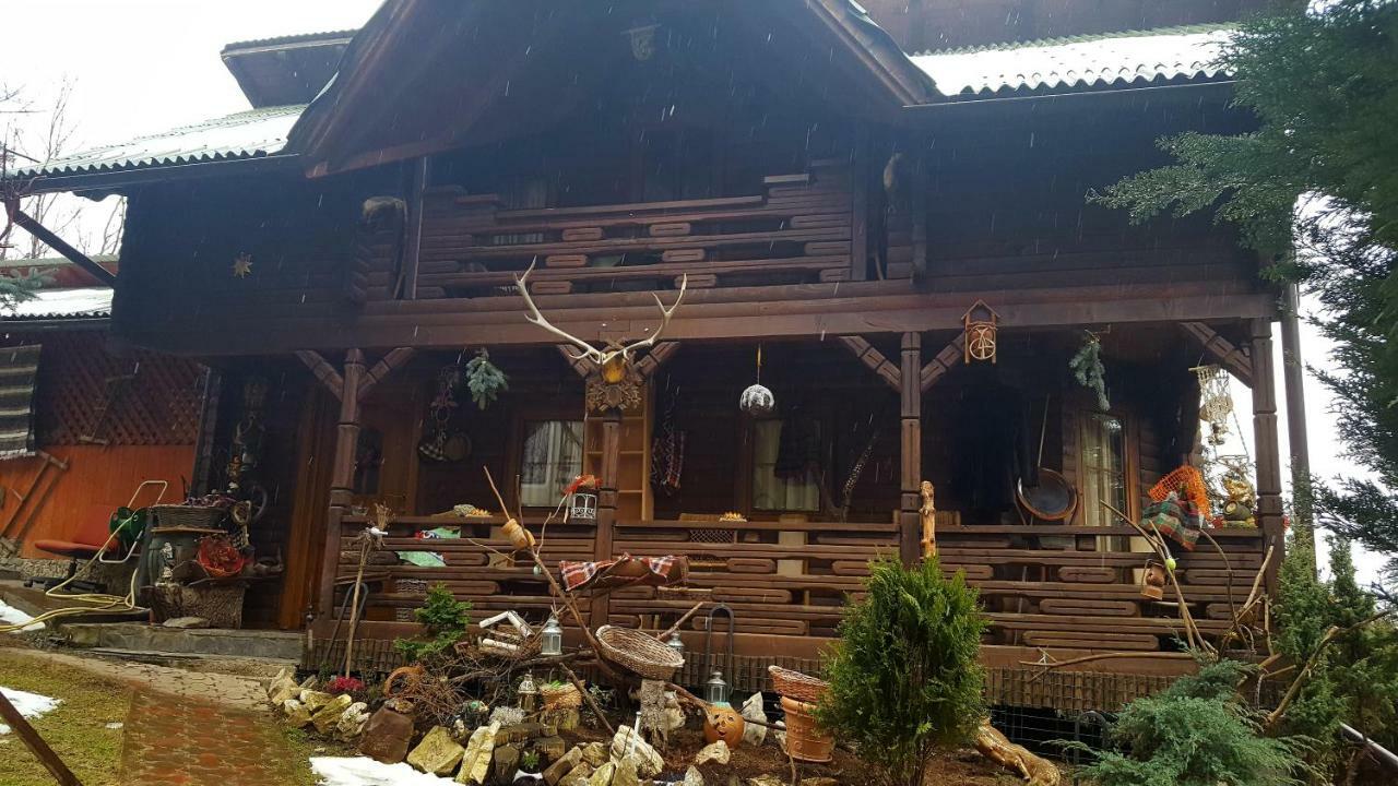 Cabana Rustic Borşa Dış mekan fotoğraf